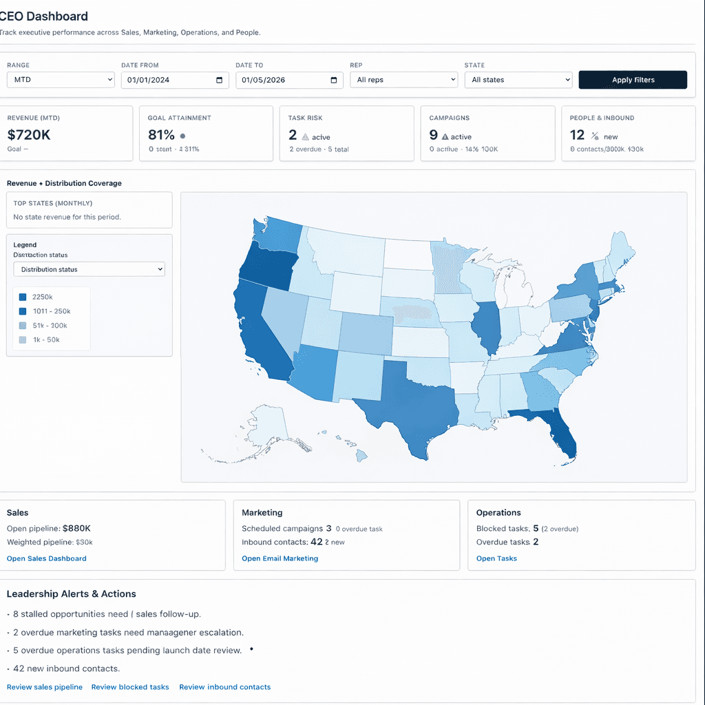 CEO dashboard example